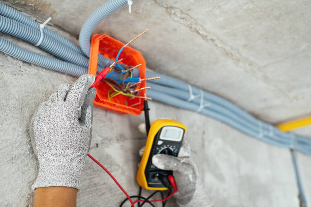Best Electrical Troubleshooting Services  in Roosevelt Gardens, FL